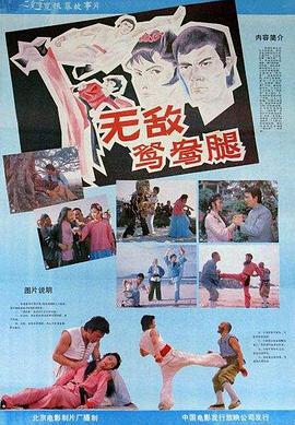 《美景之屋3》海报